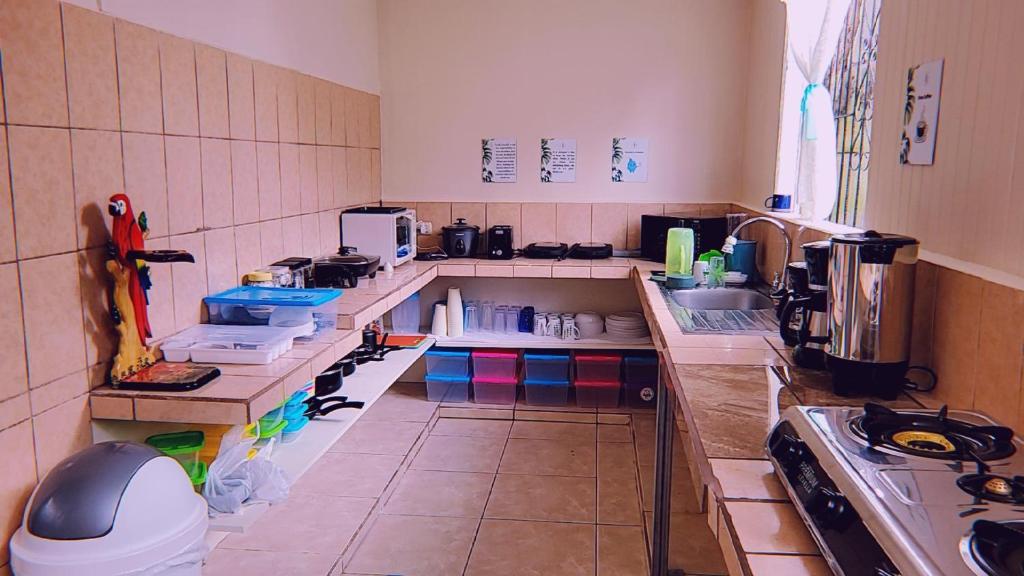 Kuchyň nebo kuchyňský kout v ubytování Alpha Arenal