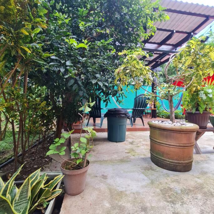 Zahrada ubytování Casa-cabaña Jefe Indio /Playa Cacique