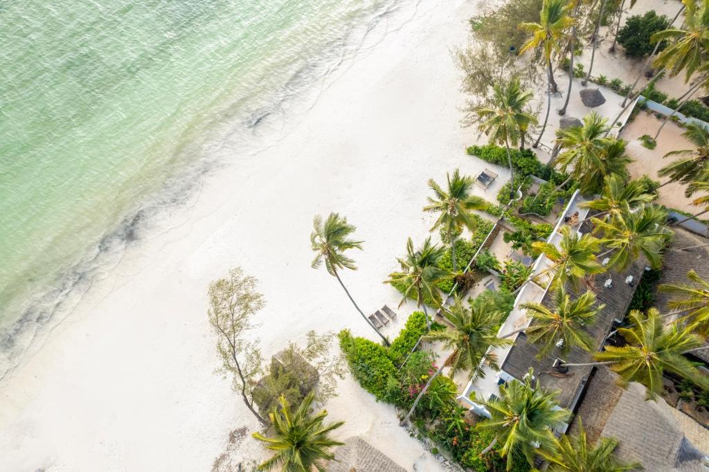 una vista aérea de una playa con palmeras en Surfescape Zanzibar en Kiwengwa