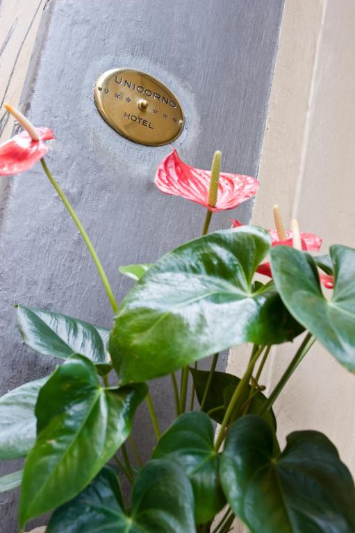 Hotel Unicorno - Resim 20