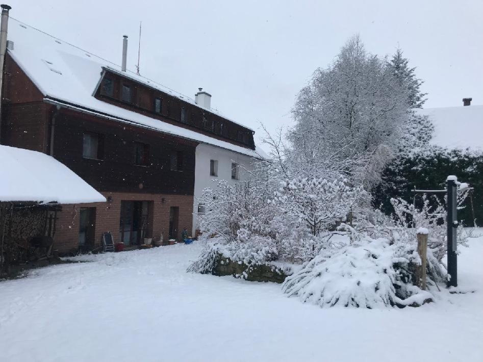 Apartmány Dolní Vítkov durante l'inverno