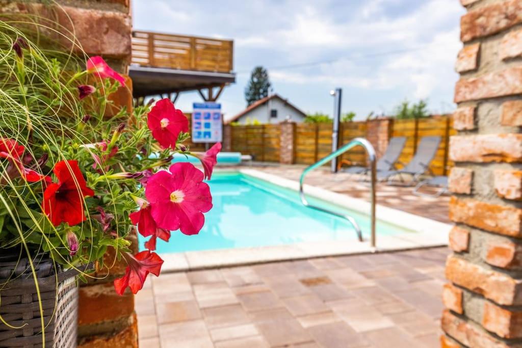 Bazén v ubytování Apartments Galunder nebo v jeho okolí
