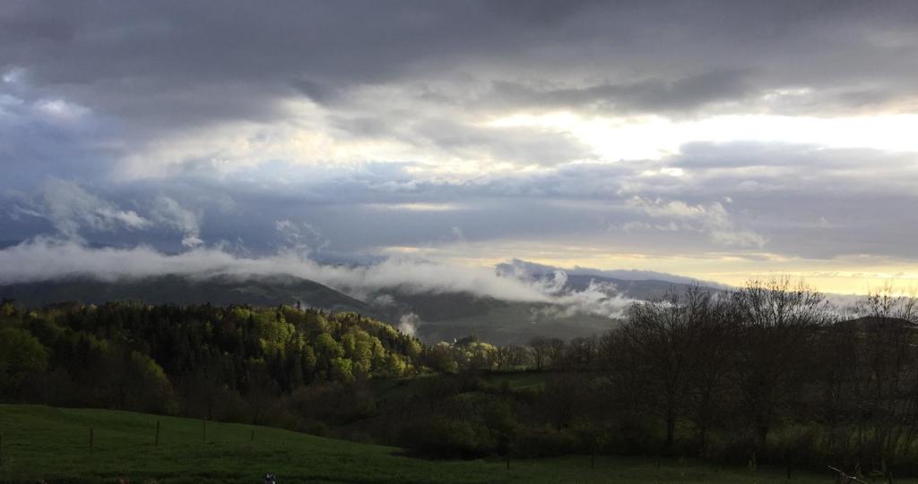Príroda v okolí penziónu