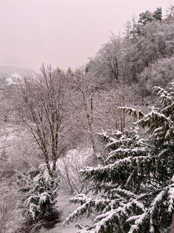 Waldseele Appartement v zimě