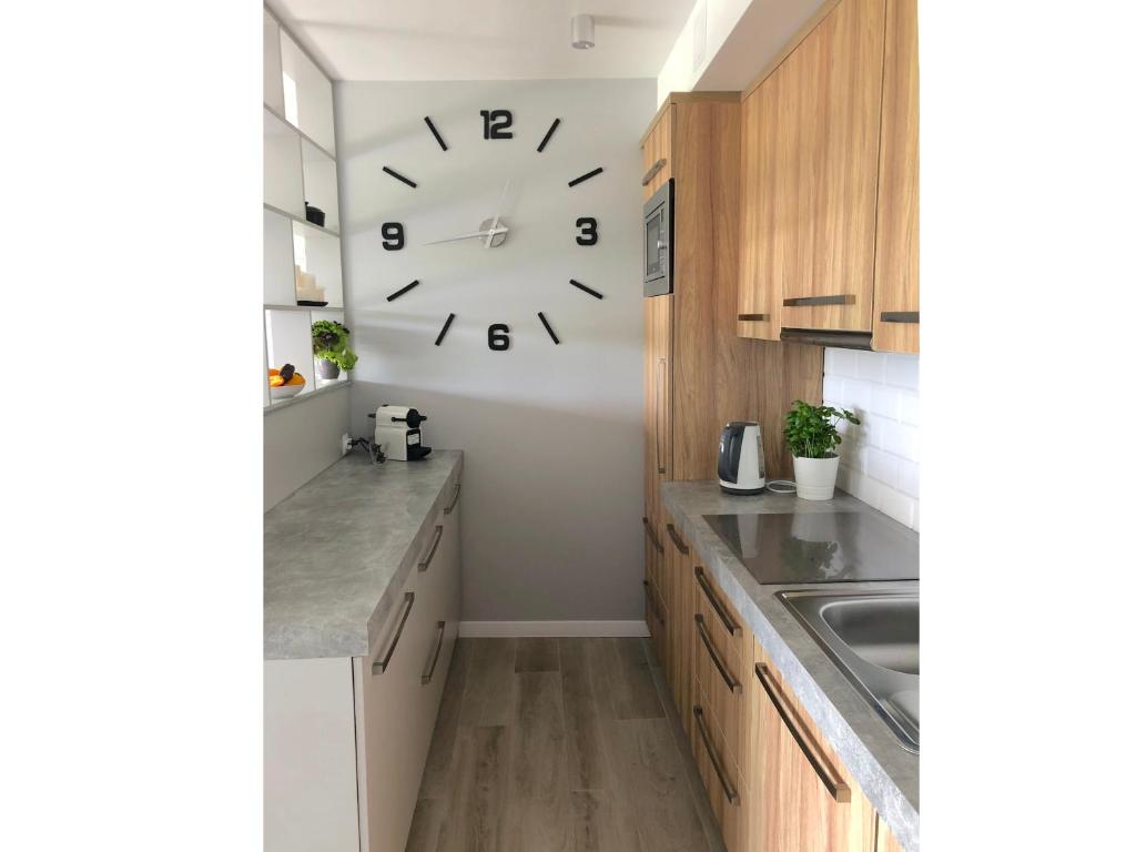 Kuchyň nebo kuchyňský kout v ubytování Apartament Na Bukowej - Wisła, widokowe studio