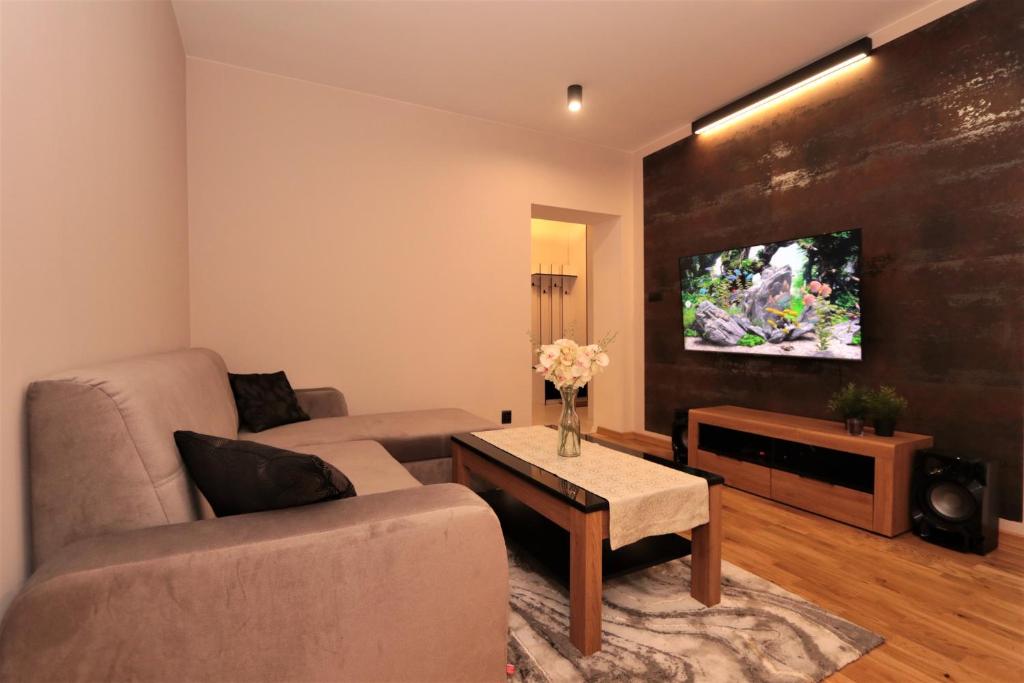 Televízia a/alebo spoločenská miestnosť v ubytovaní Apartament Jagiełły