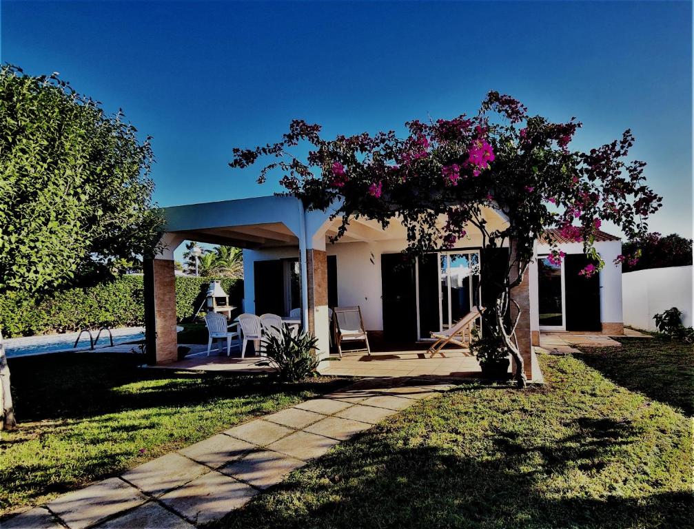 een huis met een tuinhuisje met bloemen erop bij Villa Lunas in Cala'n Bosch