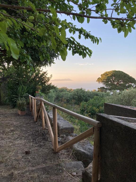 Bouganville in Villa Greco - One-Bedroom Apartment With Garden View