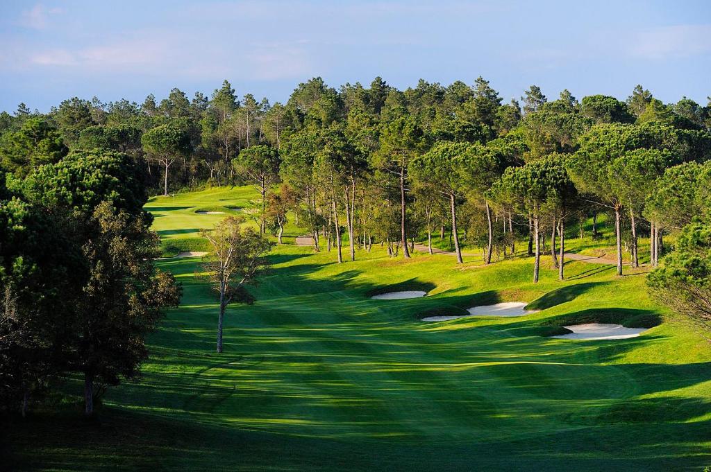 Golf v hotelu nebo okolí
