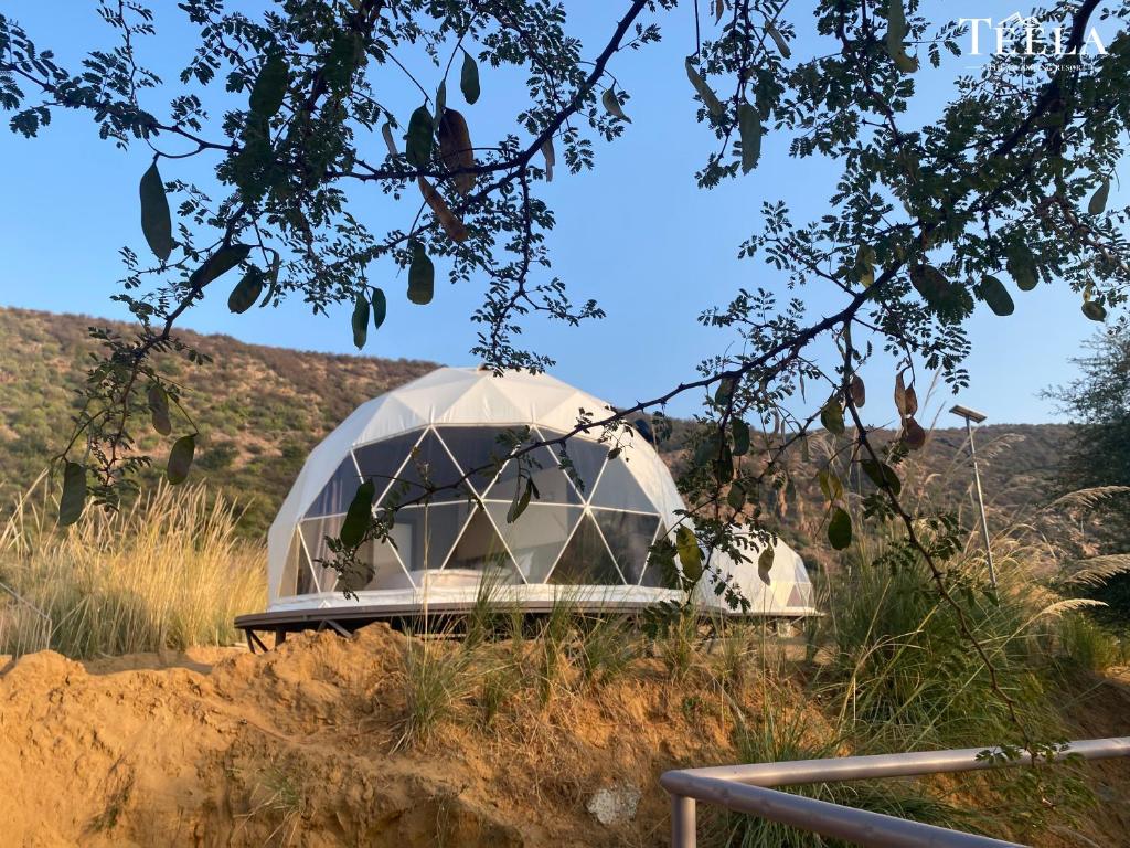 a dome tent on a hill in a field at Teela- The Glamping Resort in Udāsar