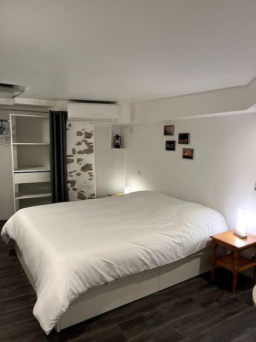 Posteľ alebo postele v izbe v ubytovaní Appartement climatisé ALBI - Centre