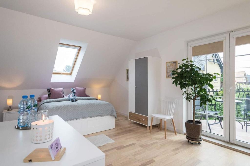 - une chambre avec un lit, une table et une plante dans l'établissement Apartament Krokusowa, à Rumia