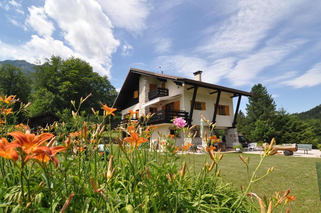 Příroda nedaleko apartmánu