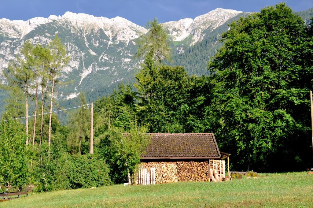 Příroda nedaleko apartmánu