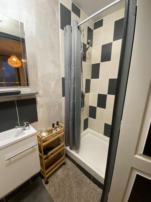 a bathroom with a shower and a sink at Studio Coquet proche Gare in Bourg-en-Bresse