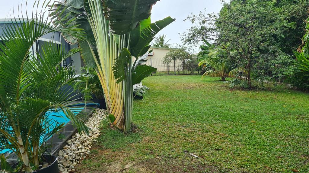 a yard with a palm tree next to a house at Villa de 3 chambres avec piscine privee jacuzzi et jardin clos a Baie Mahault in Baie-Mahault