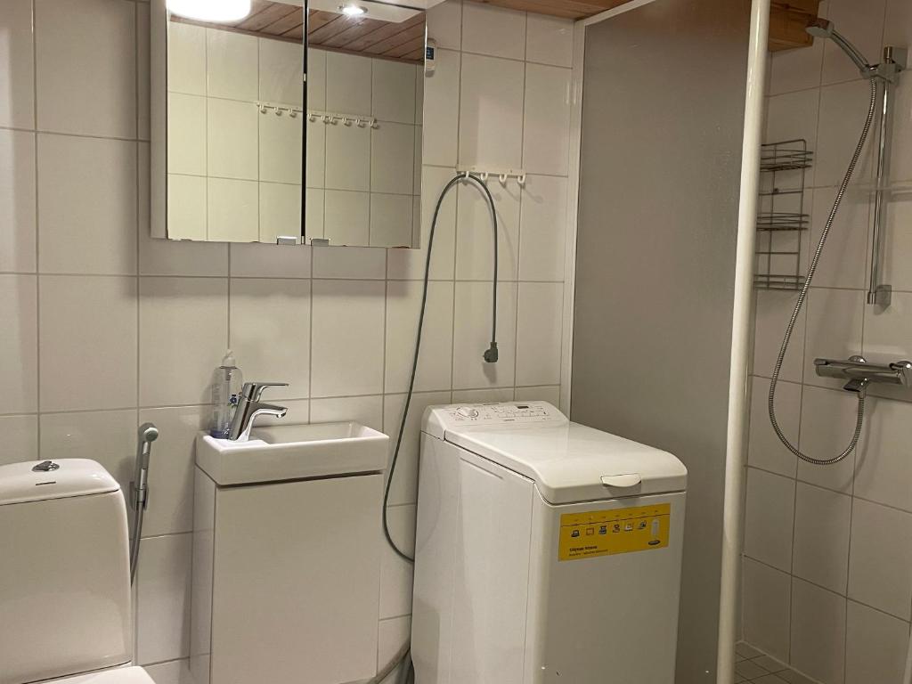 La petite salle de bains est pourvue d'un lavabo et de toilettes. dans l'établissement Panoraama 1, à Saariselka