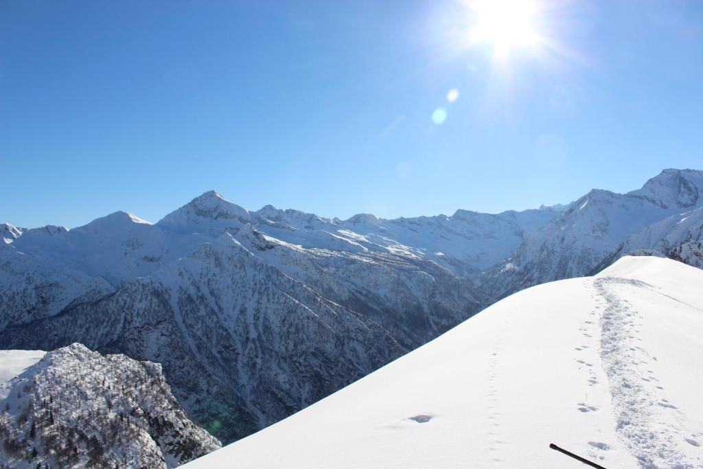 Villa Egle - Apartment - Ground Floor