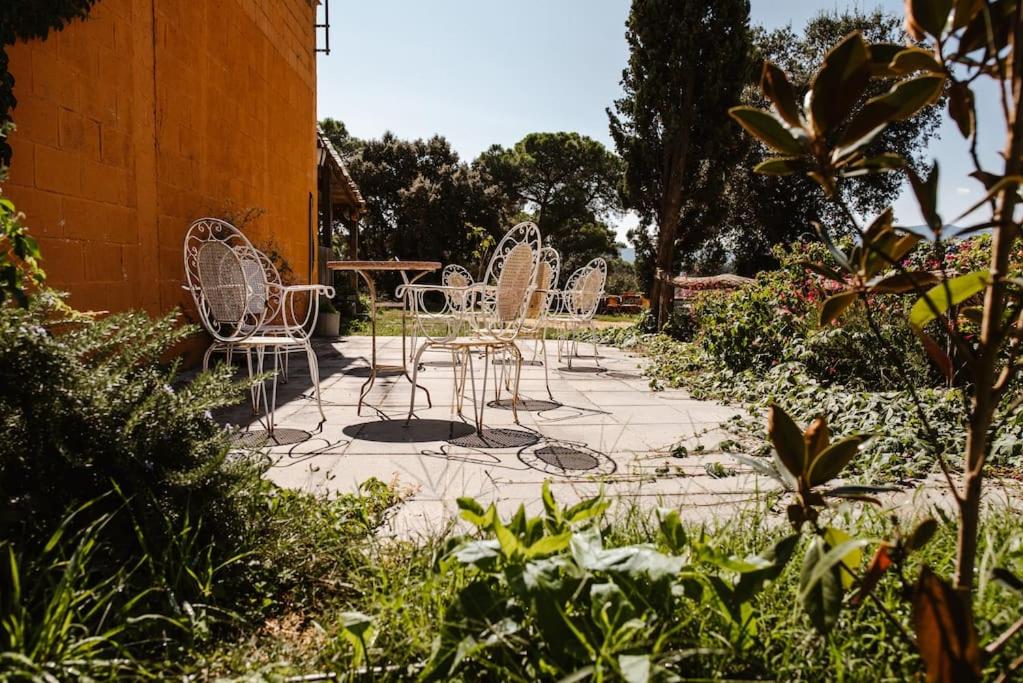 Vonkajšia záhrada v ubytovaní LAS GLICINIAS casa rural en el campo