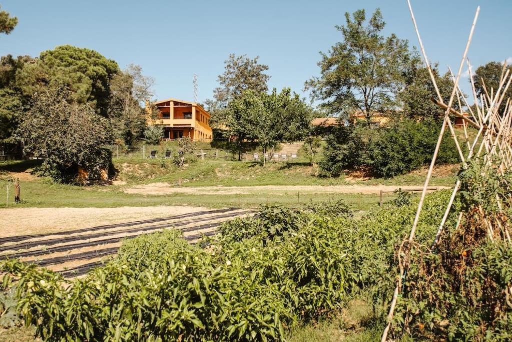 Vonkajšia záhrada v ubytovaní LAS GLICINIAS casa rural en el campo
