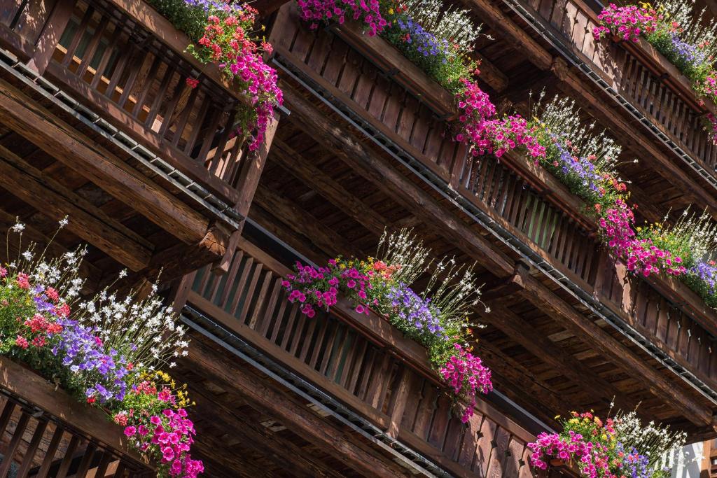 Matterhorn Lodge Boutique Hotel & Apartments - Resim 43