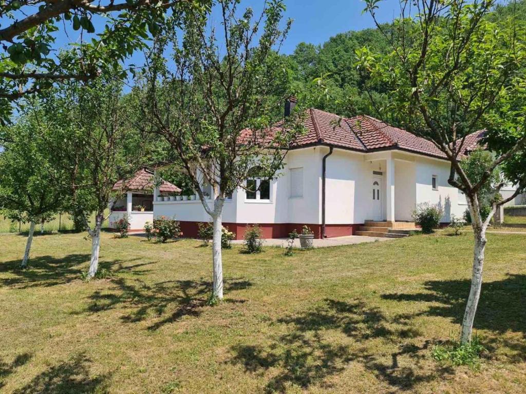 Zahrada ubytování Luxury House