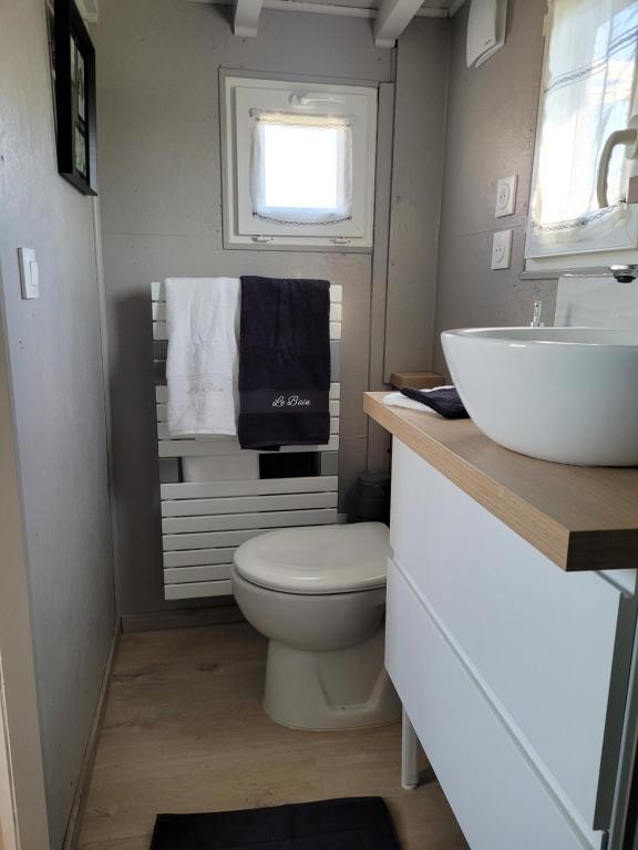 a small bathroom with a toilet and a sink at La paillote idyllique in Faverolles-sur-Cher