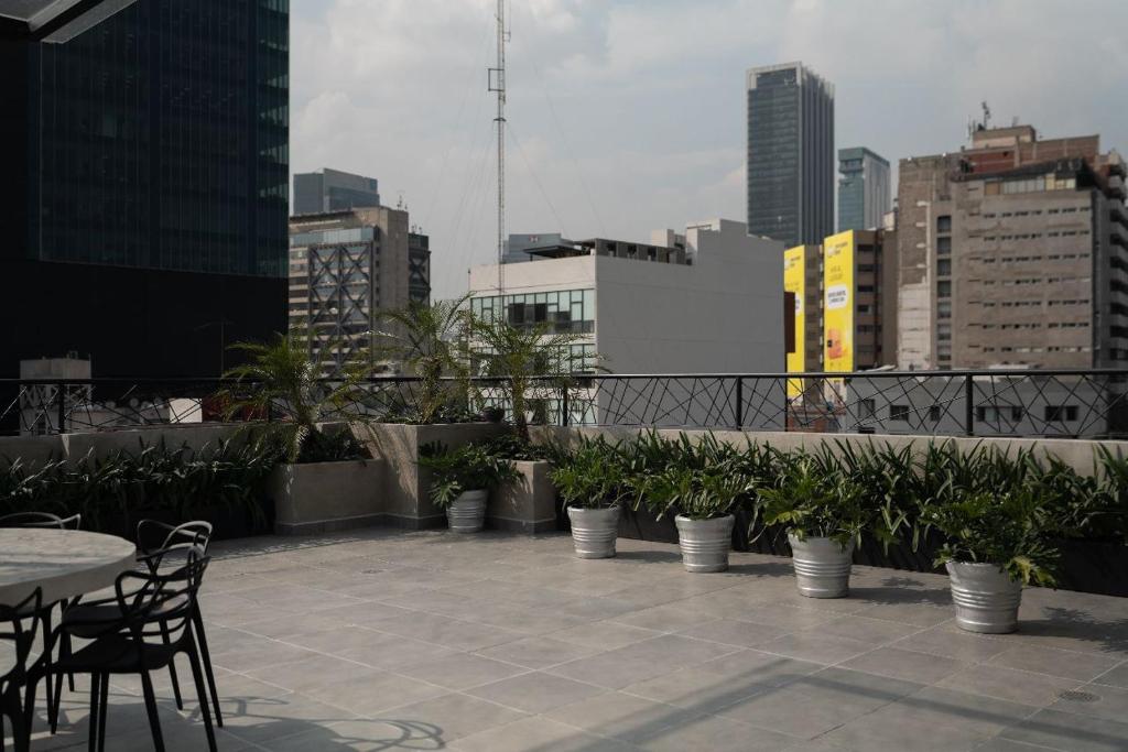 Sky Roma, Mexico City (updated prices 2024)