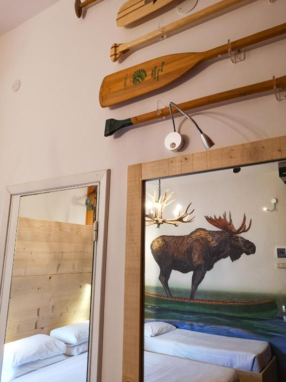 Zvířata v hotelu nebo okolí