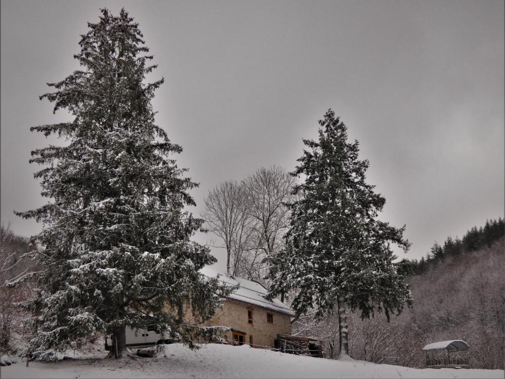 Trois arbres avec de la neige devant une maison dans l'établissement Chez-Judith, à Boussenac