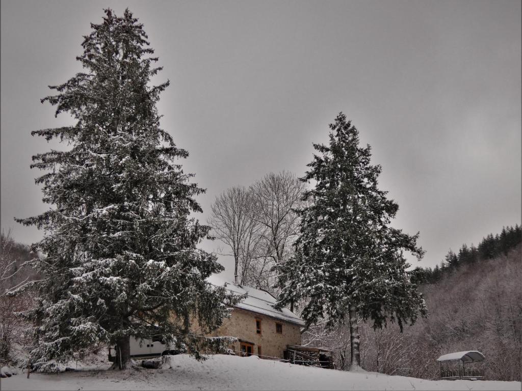 Chez-Judith - Housity
