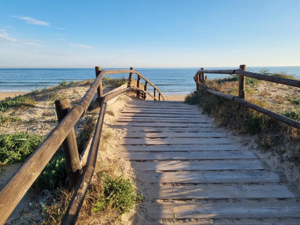 HELLO OLIVA BEACH Ana, Oliva – Updated 2023 Prices