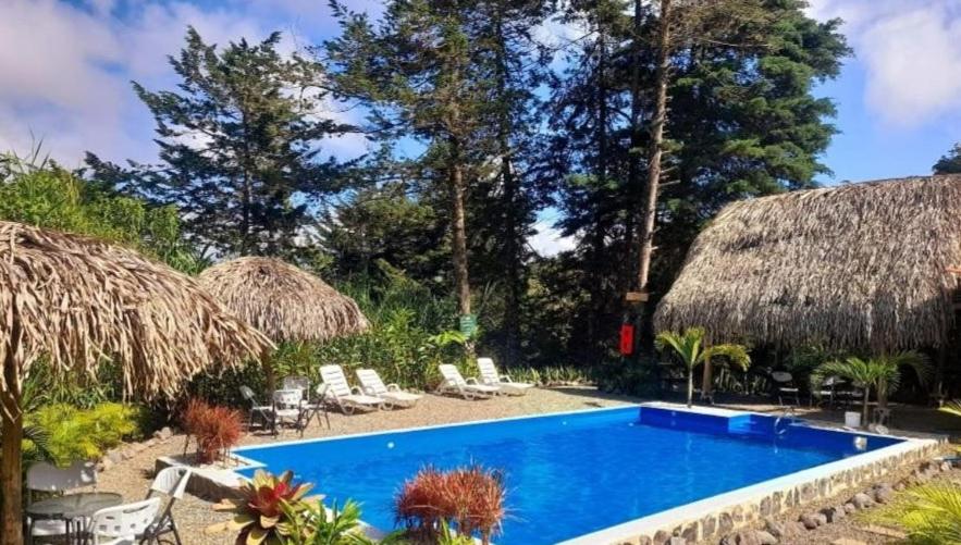 ein Resortpool mit Stühlen und einem Strohdach in der Unterkunft Cabañas Cerro Verde Lodge y Spa in Cartago