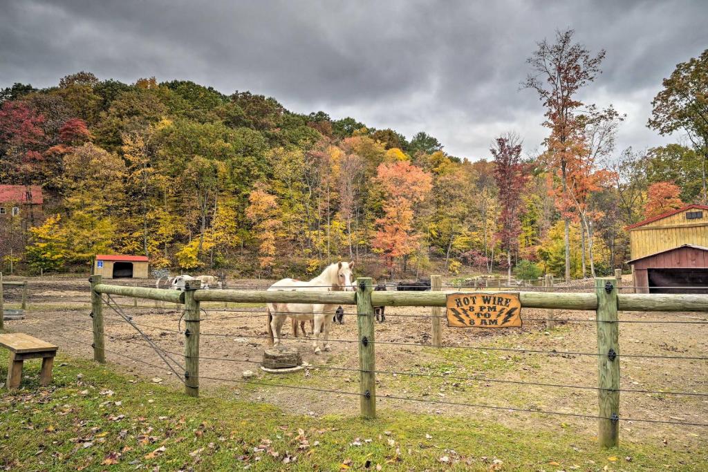 Koń stojący na polu za płotem w obiekcie James West Apt with 50 Acres - Near Raystown Lake w mieście Huntingdon