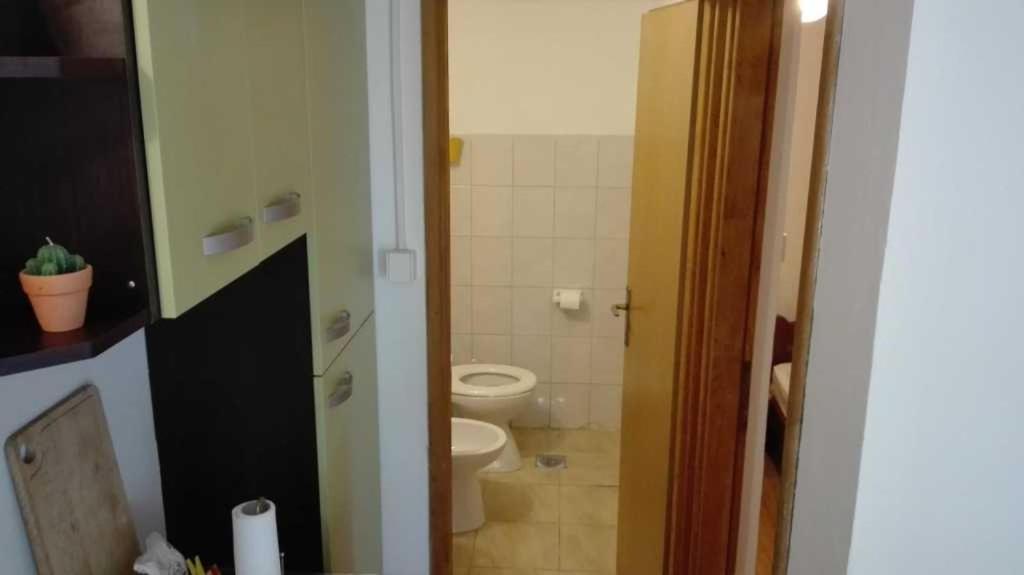 Kúpeľňa v ubytovaní Robinzon house Pia