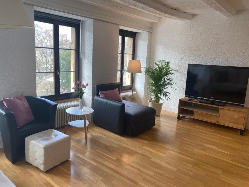 Televiisor ja/või meelelahutuskeskus majutusasutuses Joline private guest apartement Studio 45m2
