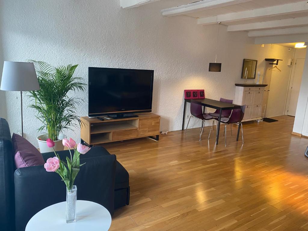 Televiisor ja/või meelelahutuskeskus majutusasutuses Joline private guest apartement Studio 45m2