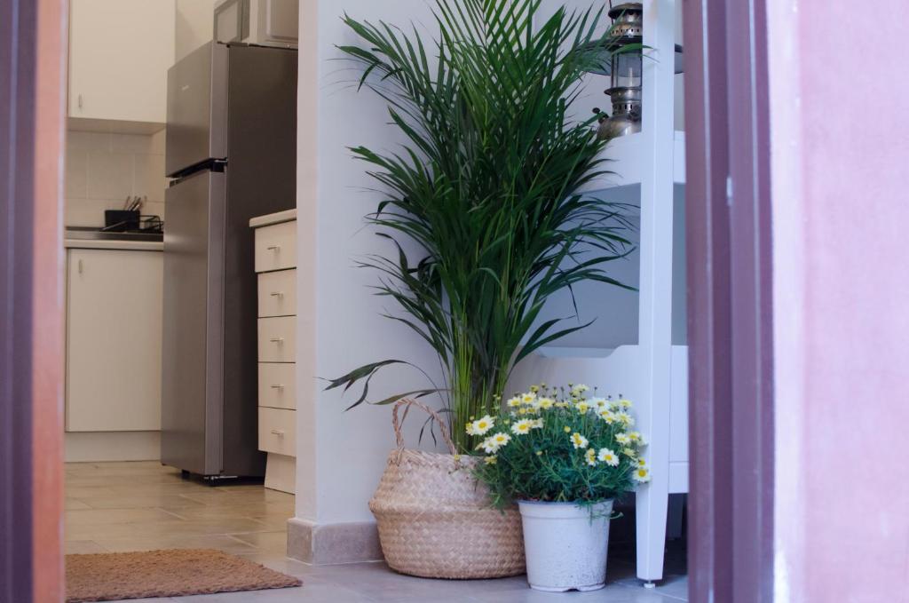 um corredor com dois vasos de plantas num quarto em La Casetta em Catânia