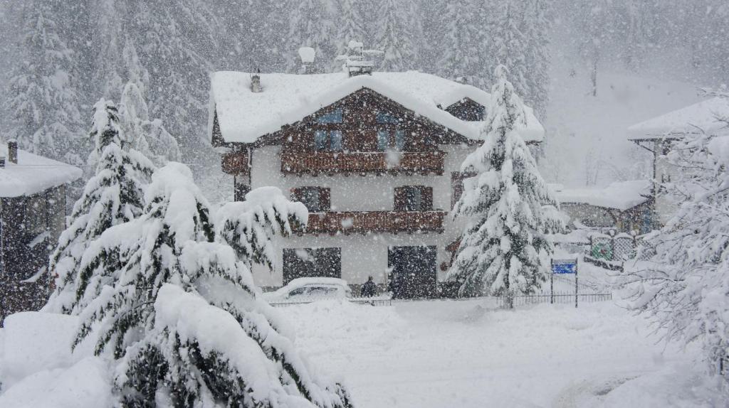a house covered in snow with trees in front of it at Appartamento Cogolo con terrazza in Cogolo