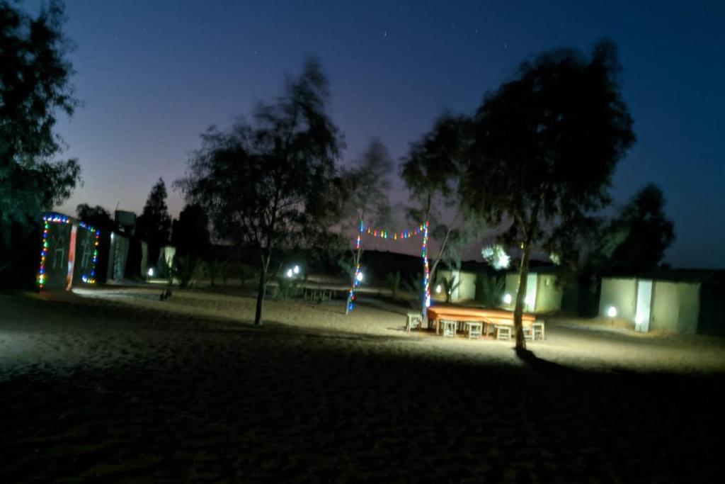 un parque por la noche con un banco y luces en Camel Trek Bivouac en Merzouga