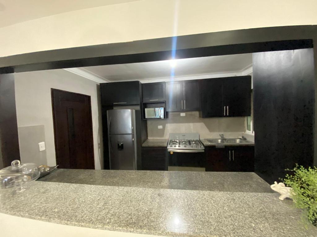 a kitchen with black cabinets and stainless steel appliances at Torre catalana in Los Mameyes