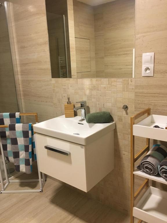 Koupelna v ubytování Apartmány Trio Horní Maršov