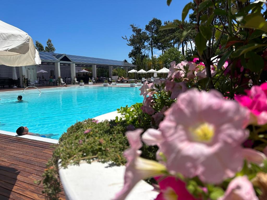 una piscina con fiori rosa in primo piano di Yoo Apartamento - Rental Club a Punta del Este