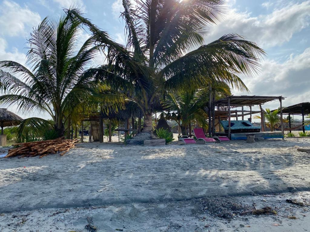 Gallery image of Kiosko uva playa frente al mar in San Onofre