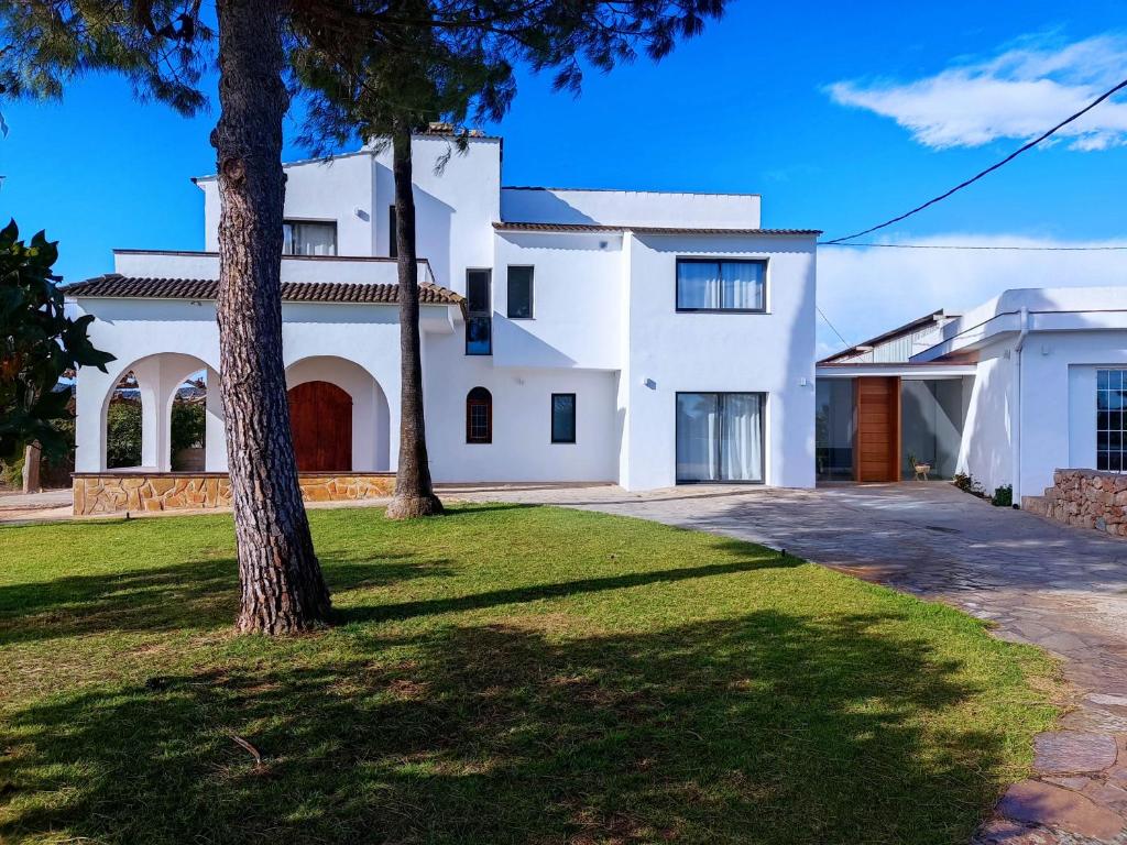 Una casa blanca con un árbol delante. en CASA MARISA, en Alcanar
