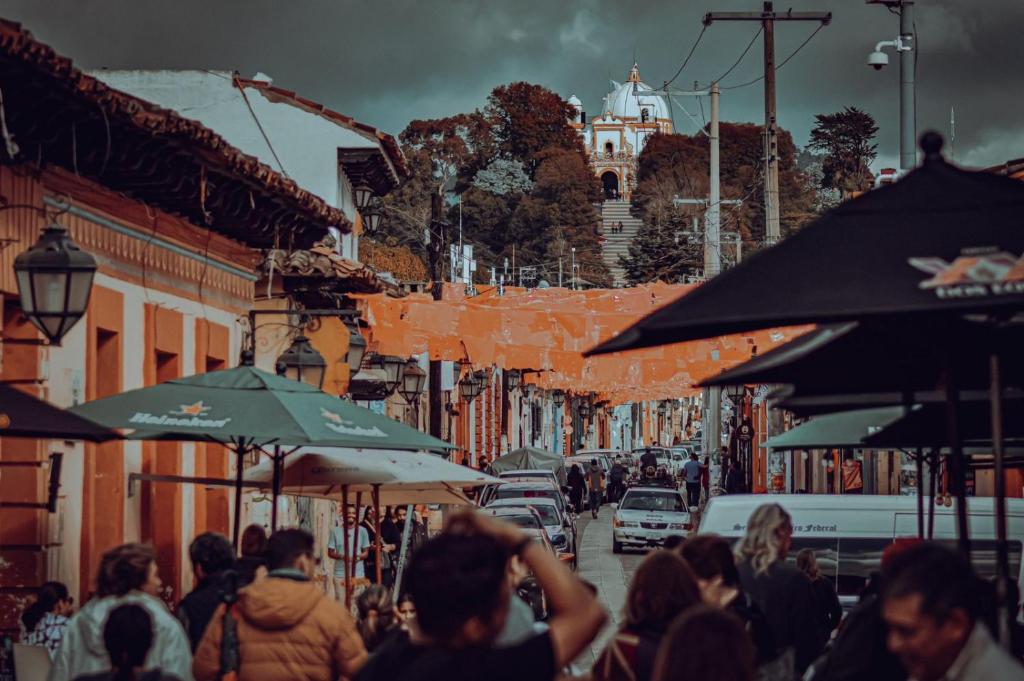 Casa79sancris