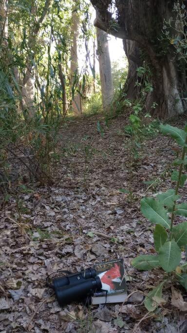 La casita del bosque, en el río.