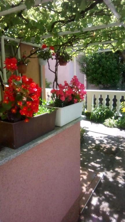 Zahrada ubytování Apartman Tihana