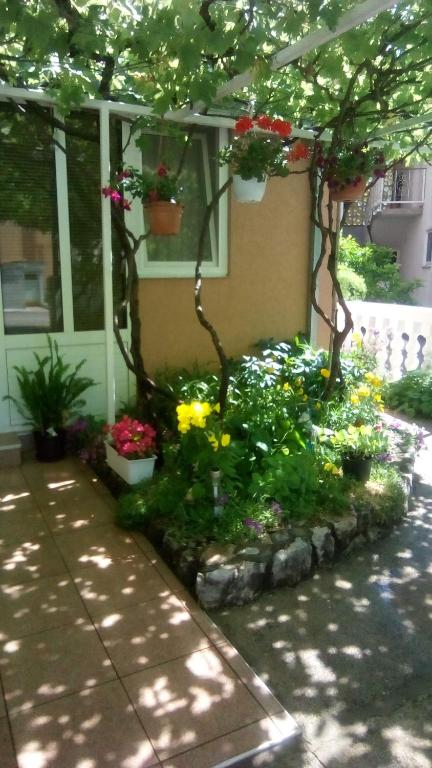 Zahrada ubytování Apartman Tihana