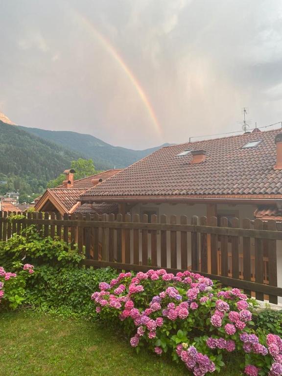 Příroda nedaleko apartmánu